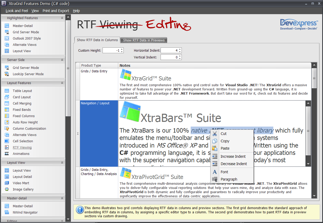 XtraGrid Rich Text Editing Capabilities